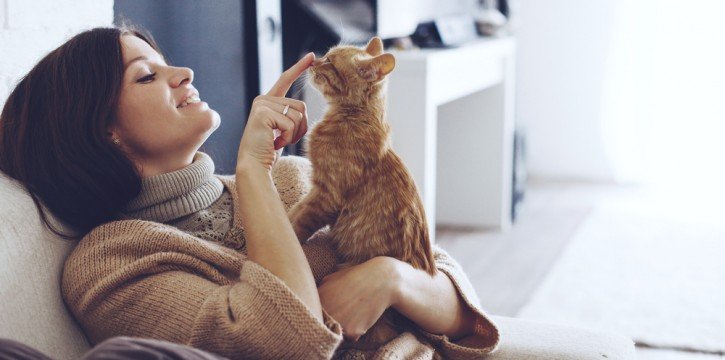Pet Owners: Tips for HVAC Maintenance